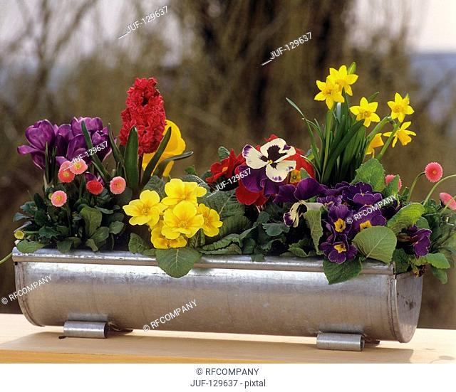 flowerpot with different flowers