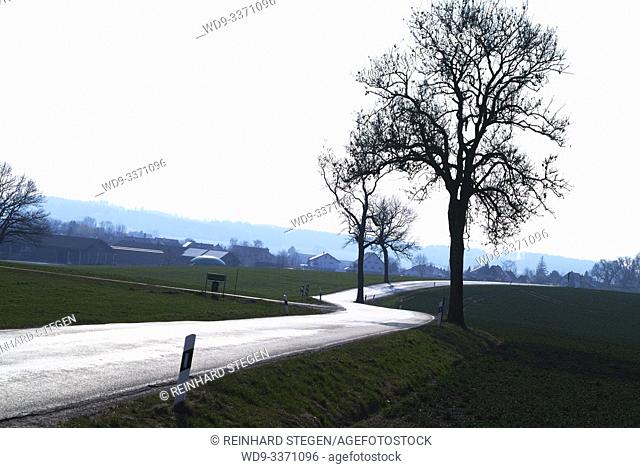 road bends, silvery shimmering road, winding, near Landsberg/ Lech, Bavaria, Germany