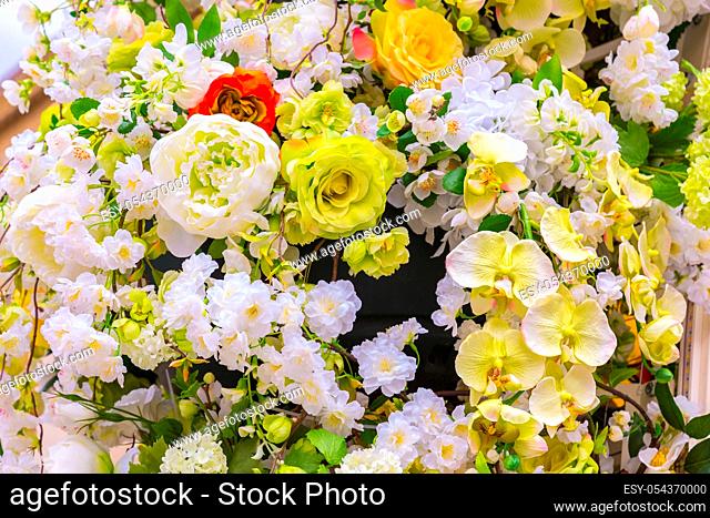Abstract background of flowers. Close-up