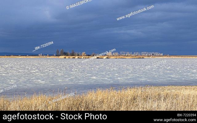 Stormy atmosphere at Darscho, Lacke, Lake Neusiedl National Park, Burgenland, Austria, Europe