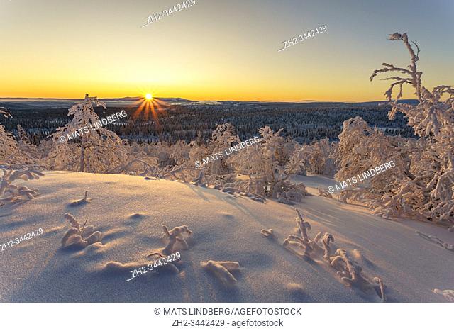 Winterlandscape at sunset in direct light making the sky colorfull with nice warm color, Gällivare county, swedish Lapland, Sweden