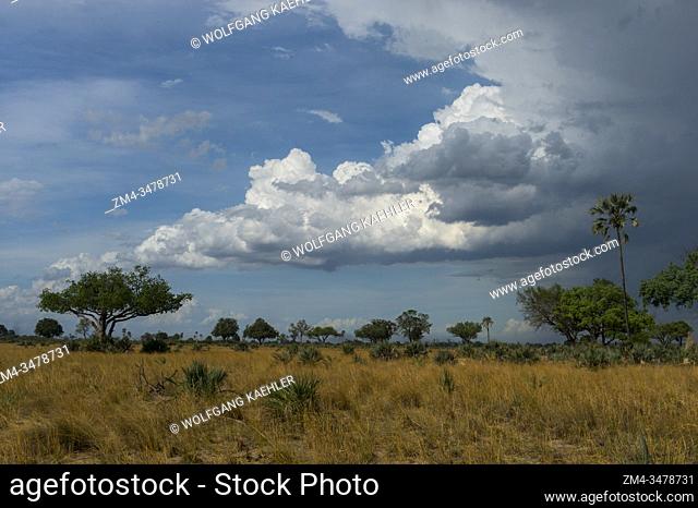 Rain clouds approaching over the dry landscape of the Jao Concession, Okavango Delta in Botswana