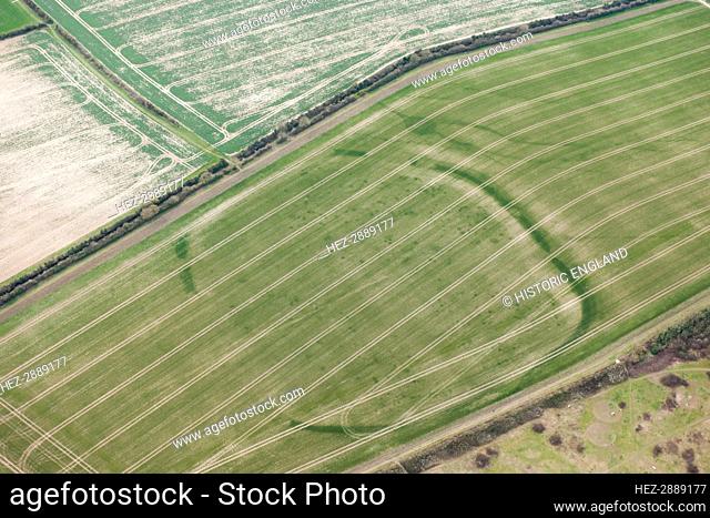 Woodbury Iron Age univallate hillfort crop mark, Salisbury, Wiltshire, 2016. Creator: Damian Grady