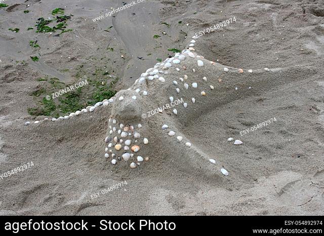 A fashion profiled seal is made of sand on the beach Ein aus Sand modelierter Seehund liegt am Strand