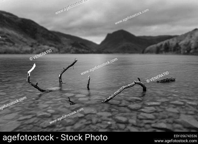 Beautiful black and white Autumn Fall landscape image of dead branch in Buttermere in Lake District