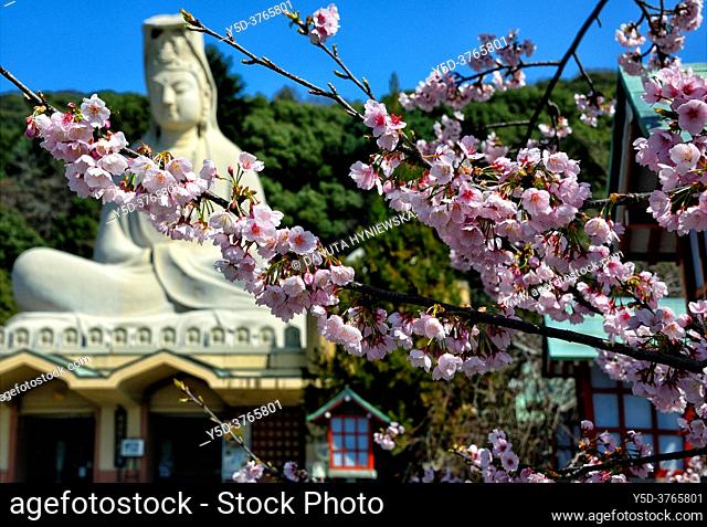 Ryozen Kannon is a war memorial commemorating the War dead of the Pacific war located in Eastern Kyoto, here wishes to Bodhisattva Avalokitesvara (Kannon -...