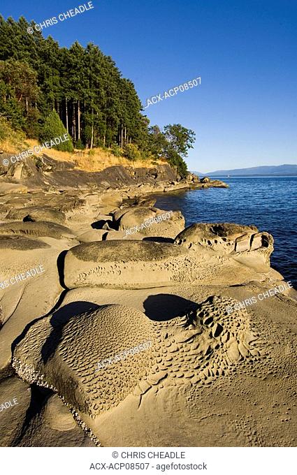 Unique sandstone formations on along shoreline, Hornby Island at Ford's Cove, Gulf Islands British Columbia, Canada
