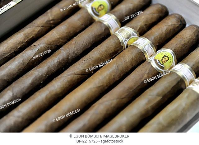 Bolivar cigar brand in a tobacco shop, Havana, Cuba, Greater Antilles, Central America, America