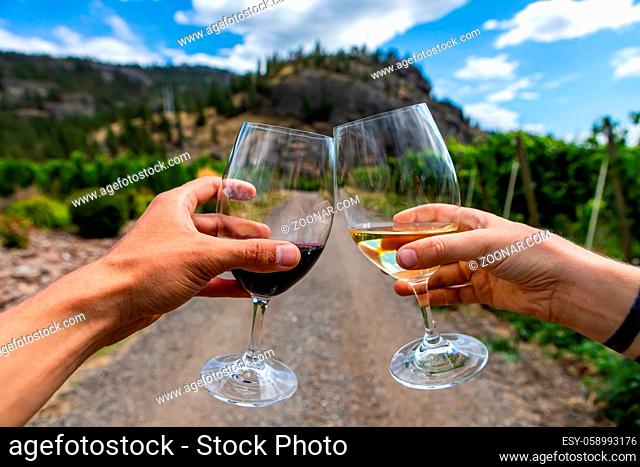 hands holding and cheering a couple of red and white wine glasses selective focus close up view against, path road between vineyards background