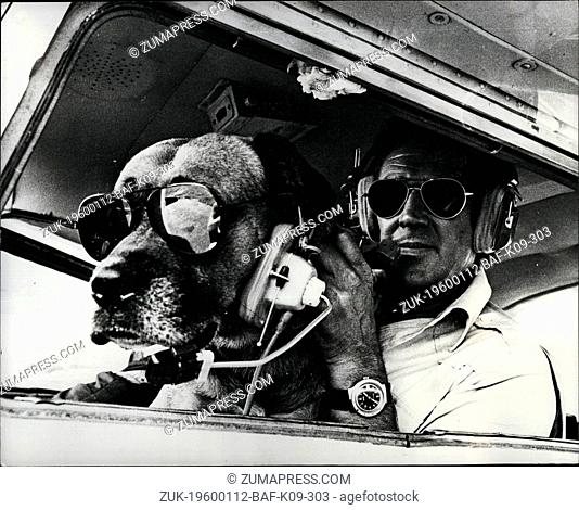 1972 - Diggles loves a Dogfight; Sunderland Flying Club boasts a very special honorary member. 5 year old Biggles, named after the famous flyer from children's...