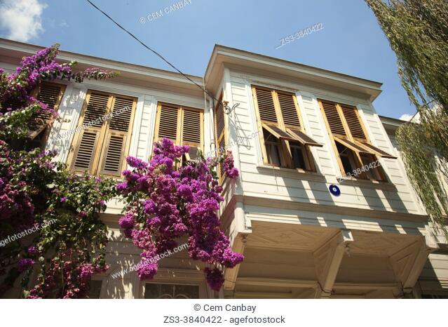 View to the facade of a traditional wooden house with pastel colors in Heybeliada-Halki, Prince Islands, Istanbul, Marmara Region, Turkey, Europe
