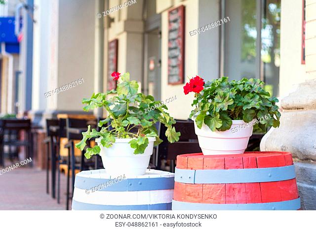 Street cafe flowers and herbs decor concept. Interior of a summer open-air cafe. Sunny day. Shallow depth of field