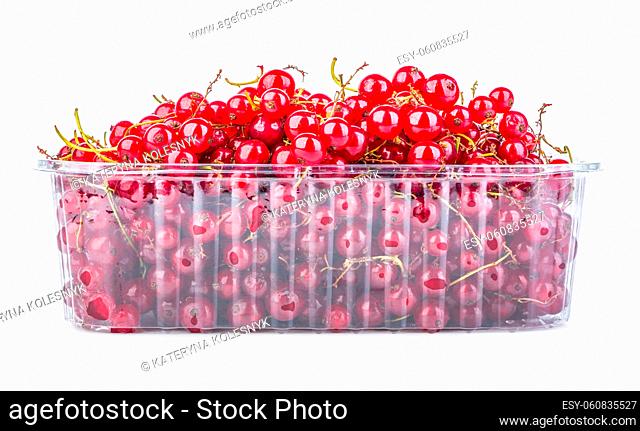 Red currant in container isolated on a white background
