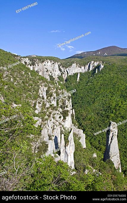 Die Vela Draga ist ein Naturschutzgebiet in Istrien und liegt an der Westseite des Naturpark U?ka