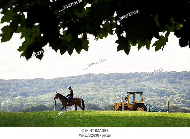 Silhouette of a rider on a horse and a tractor in a field