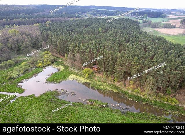 Europe, Poland, Kuyavian-Pomeranian Voivodeship, Bagienna Dolina Drwecy / Swampy Drweca Valley
