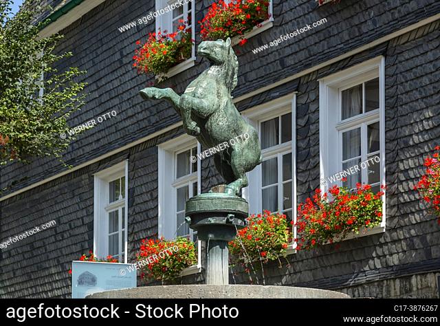 Mettmann, Germany, Mettmann, Bergisches Land, Niederbergisches Land, Niederberg, Rhineland, North Rhine-Westphalia, NRW, horse well with a sculpture of Rudolf...
