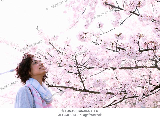 Young woman enjoying cherry blossoms blooming in Tokyo