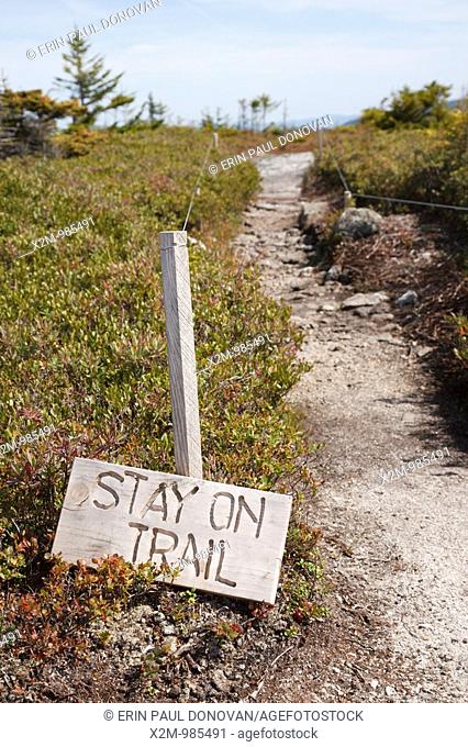 Stay on trail sign along the Baldface Circle Trail during the summer months  Located in the White Mountains, New Hampshire USA