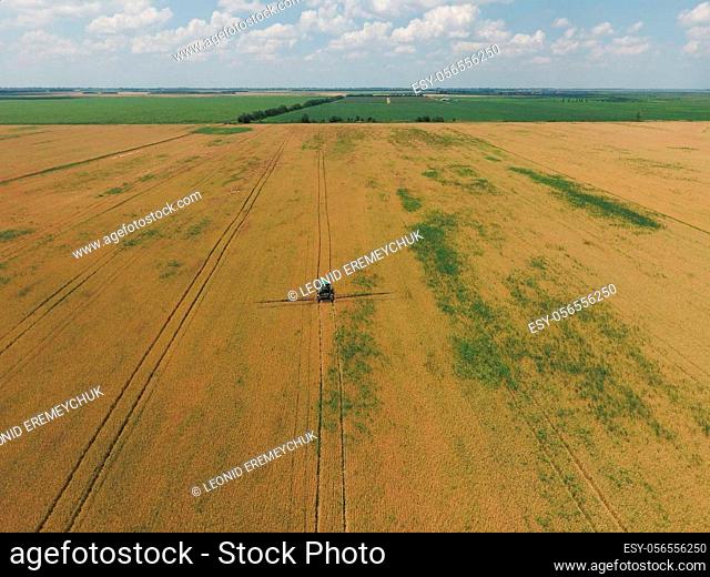 Adding herbicide tractor on the field of ripe wheat. Growing crops in the fields. View from above