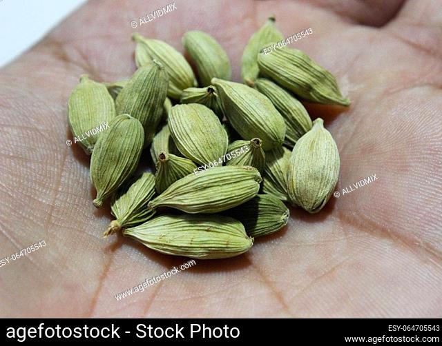 A picture of cardamom with selective focus