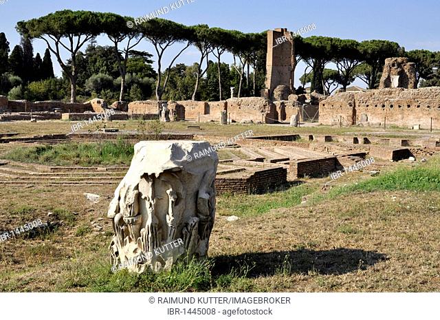 Ruins of the fountain in the peristyle, with nymphaeum, Domus Flavia, Palatine Hill, Rome, Lazio, Italy, Europe