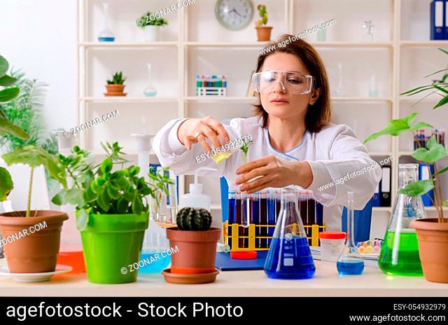 Old female biotechnology chemist working in the lab