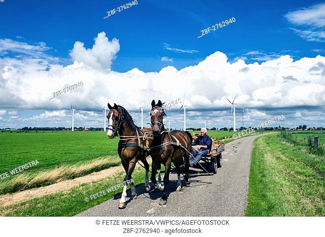 Horse and Carriage in the Netherlands