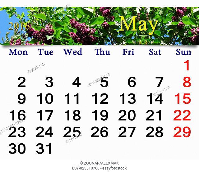 calendar for May of 2016 with flowers of lilac. Ca