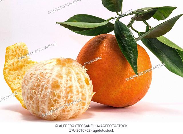 Tangerine and peeled tangerine on white background