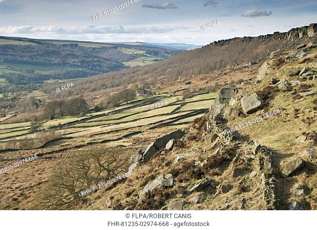 View of upland habitat with drystone walls and gritstone edge, looking north from Baslow Edge, Peak District, Derbyshire, England, march