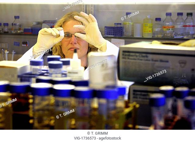 GERMANY, HAMBURG, 21.10.2009, Molecular biology research with stem cells in a laboratory of Beiersdorf AG. Development objective is a innovative dermal model...