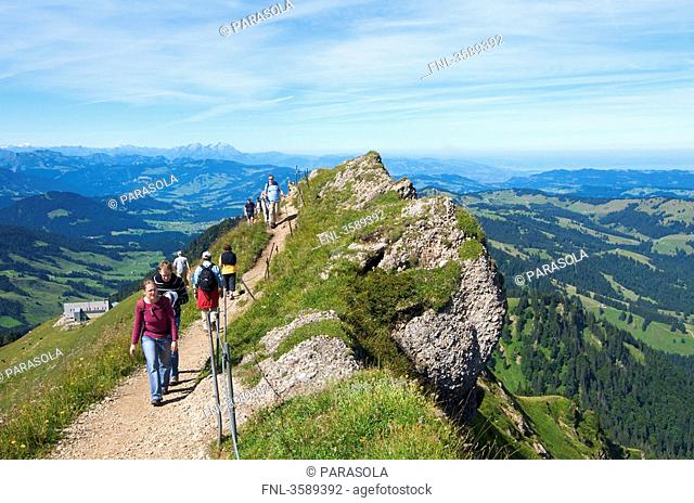 Hochgrat near Oberstaufen, Allgaeu Alps, Bavaria, Germany, Europe