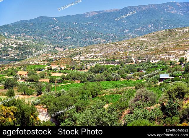 The countryside at the foot of Mount Troodos - the old grape cultivation region. Limassol. Cyprus Limassol. Cyprus
