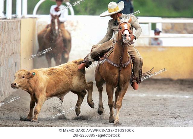Mexican Cowboys compete in our National Sport, La Charreria. In the Lienzo Charro teams perform several disiplines to win prizes