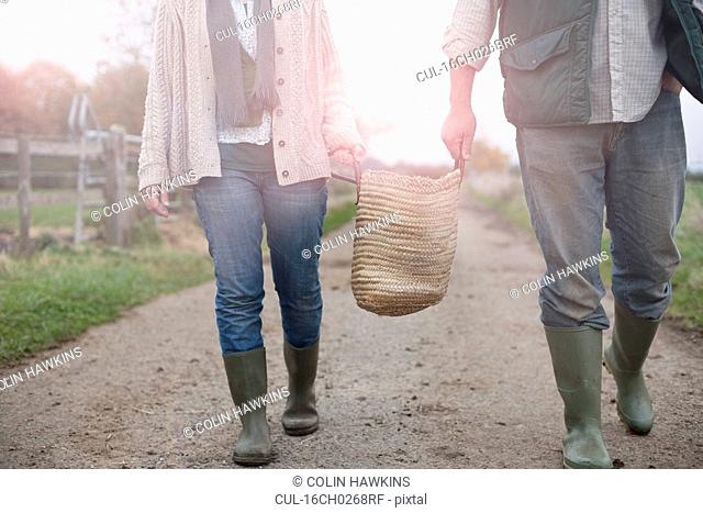 couple carrying basket in countryside