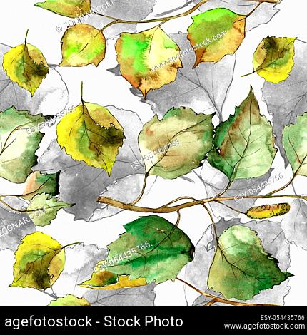 Green birch leaves. Leaf plant botanical garden floral foliage. Seamless background pattern. Fabric wallpaper print texture