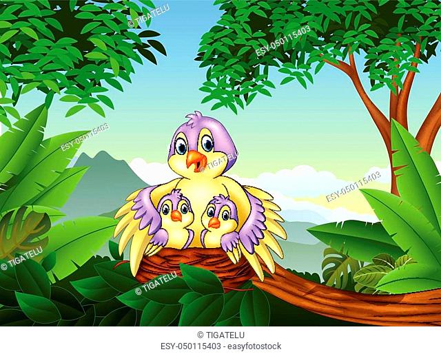 Vector illustration of Mother bird with her two babies in the nest, Stock  Vector, Vector And Low Budget Royalty Free Image. Pic. ESY-050115403 |  agefotostock