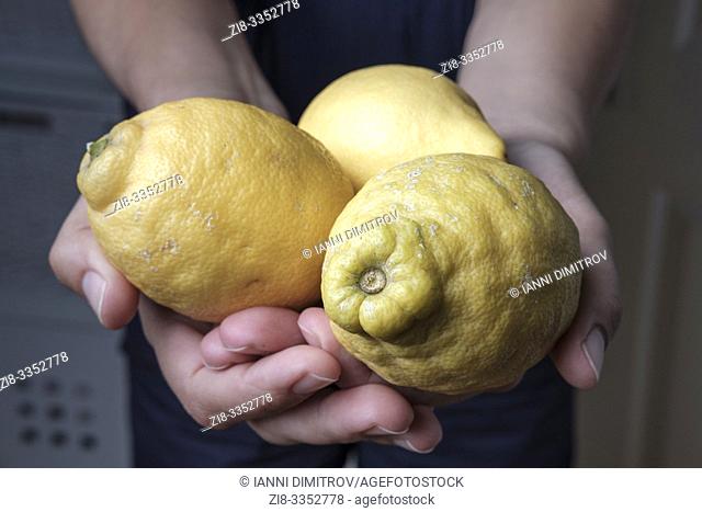 Organic unwaxed lemons