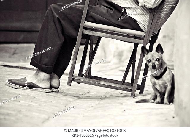 Elderly man sitting on typical Minorca chair (aka. 'Coca Rossa') with dog. Ciutadella de Menorca, Minorca, Balearic Islands, Spain