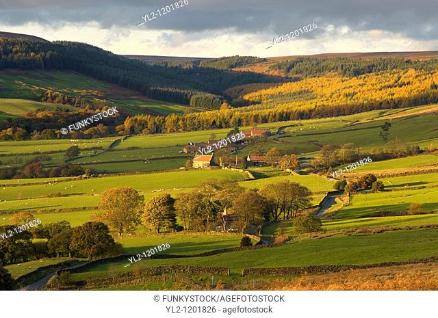 Bransdale at sunset, North Yorkshire Moors National Park, England