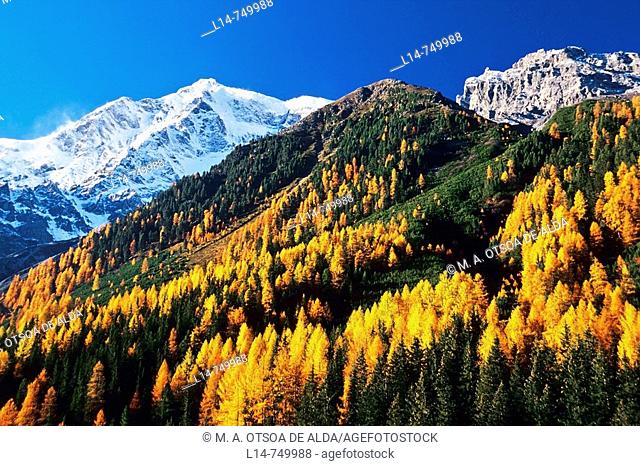 Mount Ortler (3905 m), Solda (Sulden), Stelvio National Park. Trentino-Alto Adige, Italy