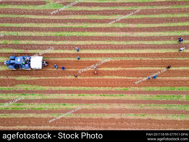 18 November 2020, Mecklenburg-Western Pomerania, Boitin: Journalists and employees of various authorities follow a tractor with a planting machine for young...