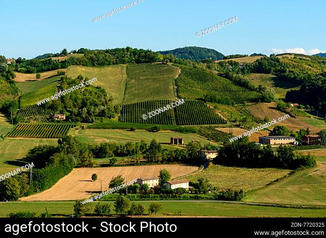 In the picture a beautiful view of the hills of Piacenza (Castell'Arquato) and its vineyards