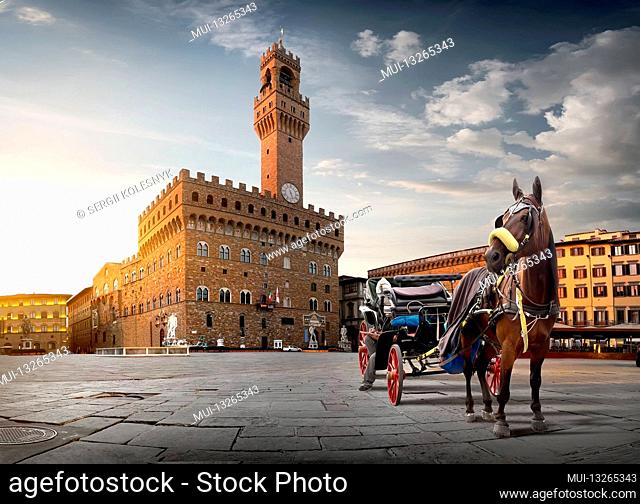 Horse on Piazza della Signoria in Florence at dawn, Italy