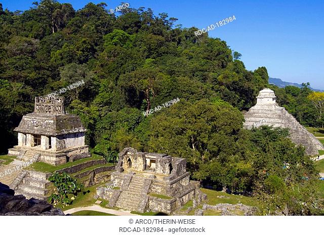 Temple of the Count, North Group, Palenque, Chiapas, Mexico, Templo del Conde