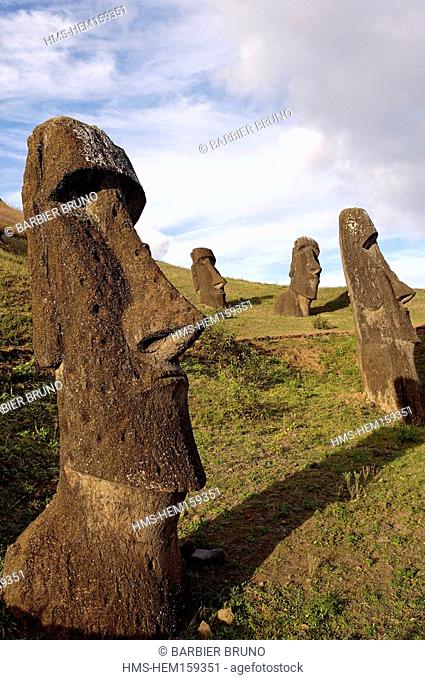 Chile, Easter Island, Rano Raraku is a volcanic crater formed of consolidated ash or Tuf. It is the quarry in which about 95 of the island's known sculpture...