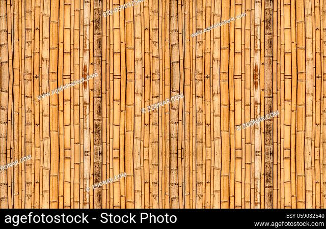 Bamboo fence background with vertical alignment