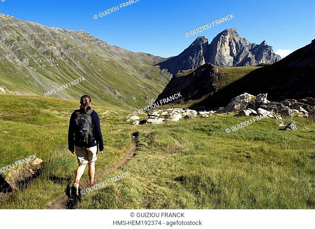 France, Hautes Alpes, Brianconnais area, on the Grand Lac hiking trail GR 57, Aiguillette du Lauzet in the background