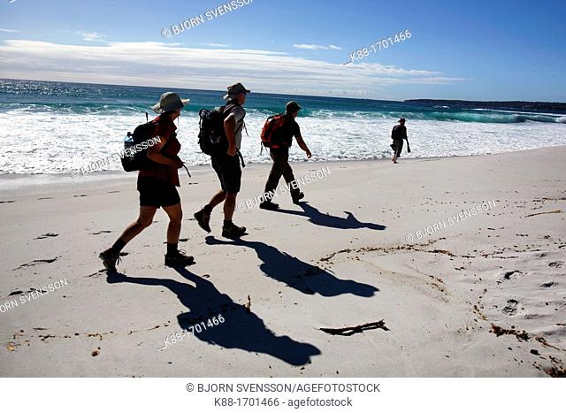 Bushwalkers walking along the Bay of Fires  North East Tasmania, Australia